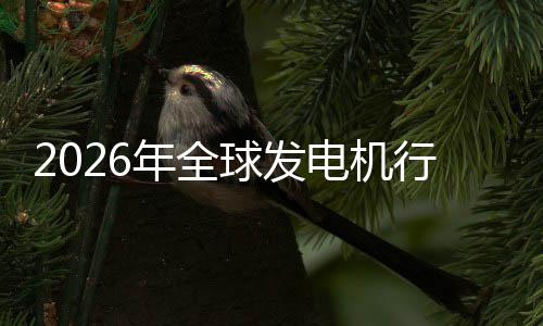 名年全内外行业先企业国电机份额领球发规模及排市场市场
